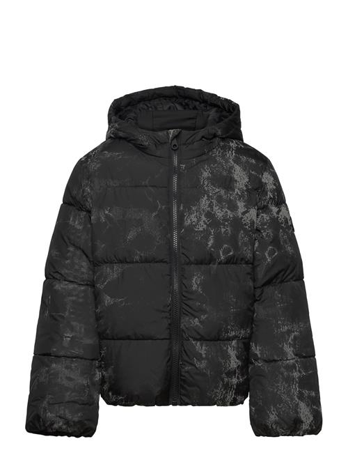 Se Tom Tailor Puffer Jacket Tom Tailor Black ved Booztlet