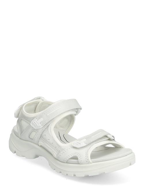 ECCO Offroad ECCO White