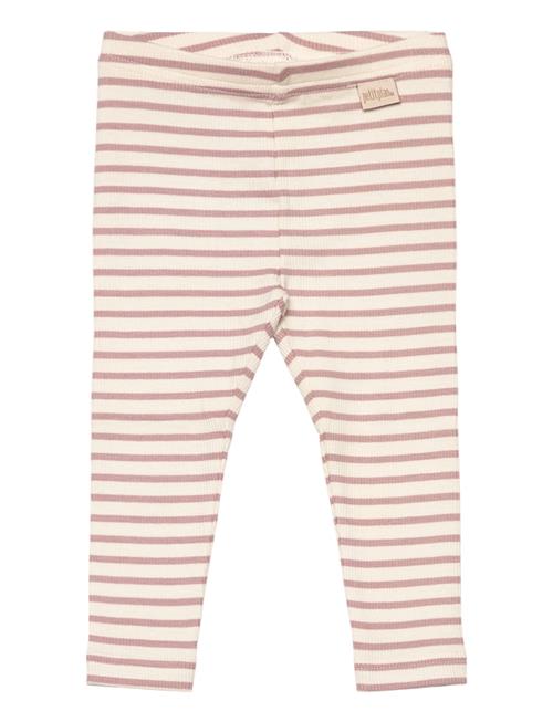 Petit Piao Legging Modal Striped Petit Piao Beige