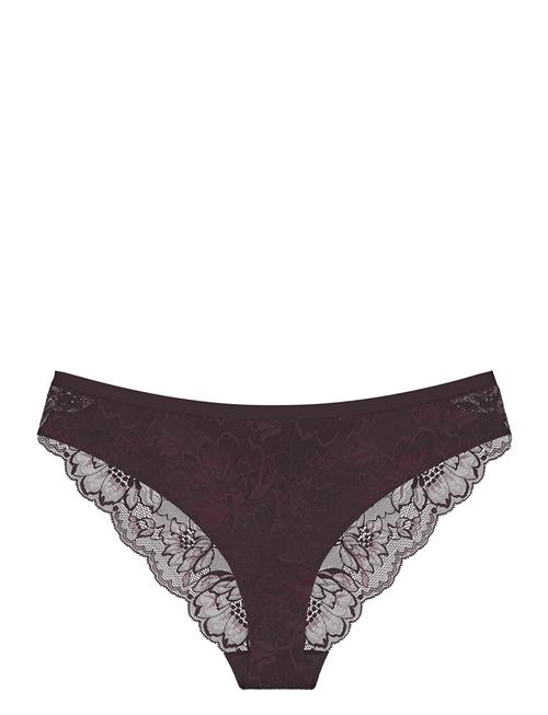 Triumph Amourette Charm T Brazilian01 Triumph Burgundy