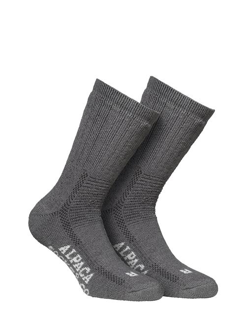 Alpacasocks 2-Pack Alpacasocks&Co Grey