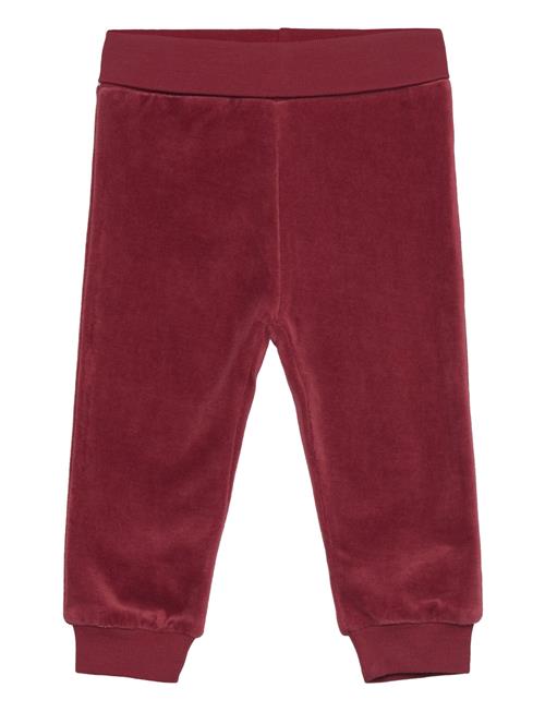 Fixoni Pants Velour Fixoni Red