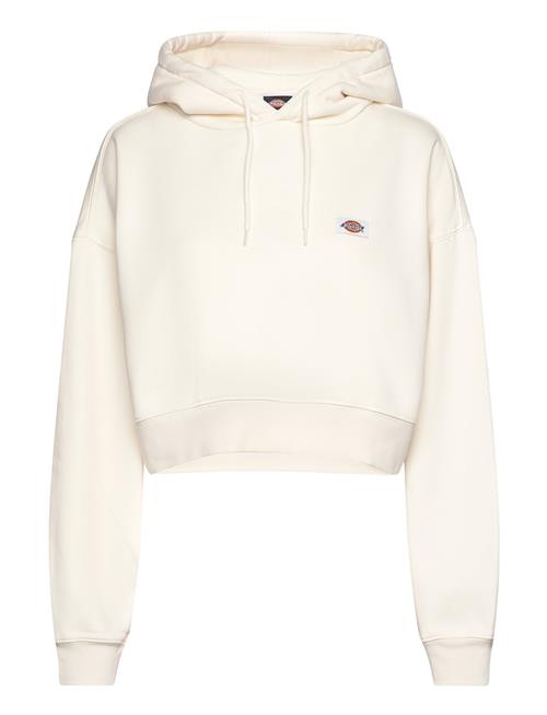 Dickies Oakport Cropped Hoodie Dickies Cream