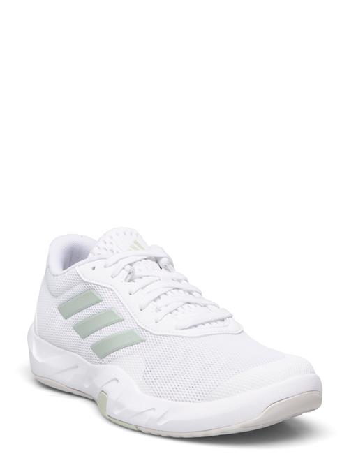 Se adidas Performance Amplimove Trainer W Adidas Performance White ved Booztlet