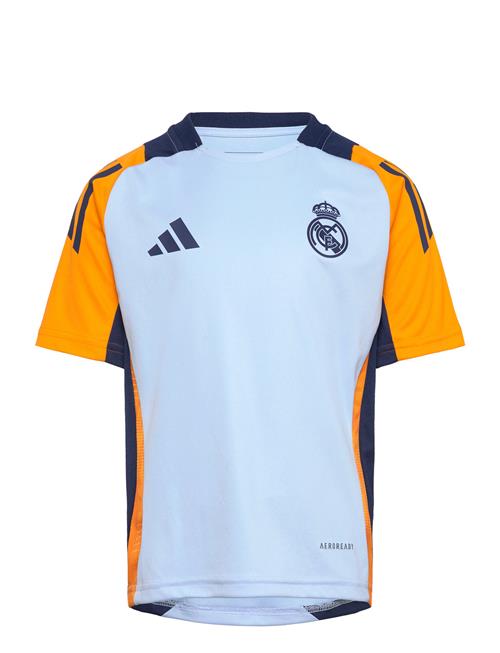 adidas Performance Real Madrid Tr Jsy Y Adidas Performance Blue