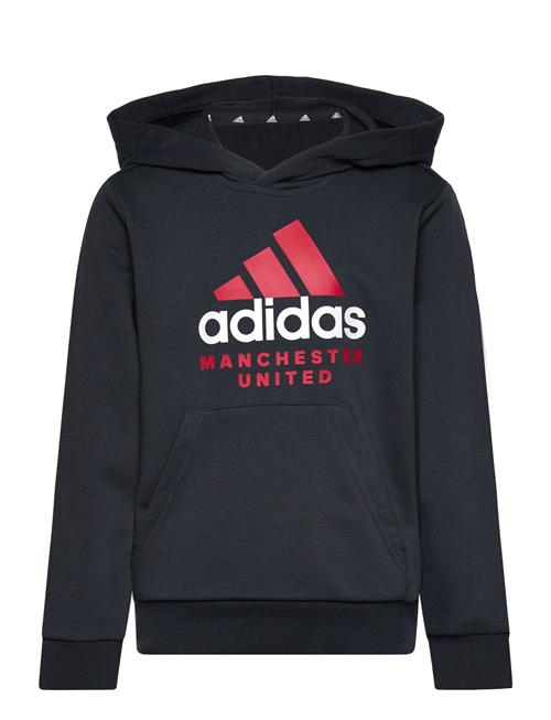 adidas Performance Manchester United Fc Kids Hd Adidas Performance Grey