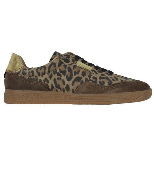 Se Steve Madden Sko - Emporia - Leopard ved KidsWorld