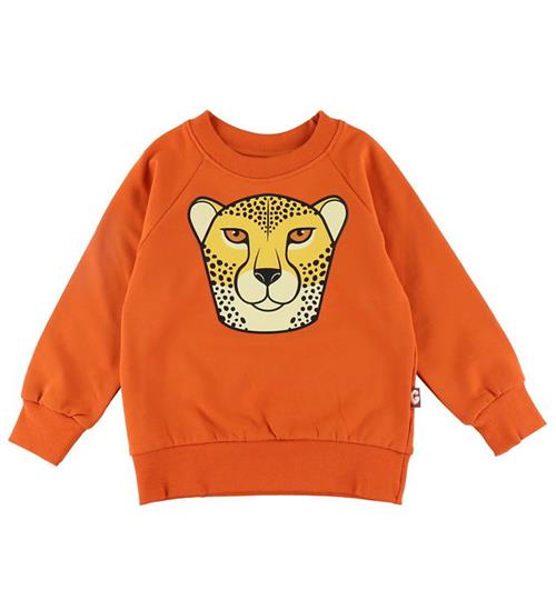 Se DYR-Cph Sweatshirt - Dyrbellow - Pumpkin Geropard ved KidsWorld