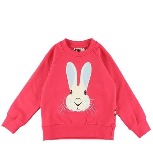 Se DYR-Cph Sweatshirt - Dyrbellow - Power Pink Vildkanin ved KidsWorld