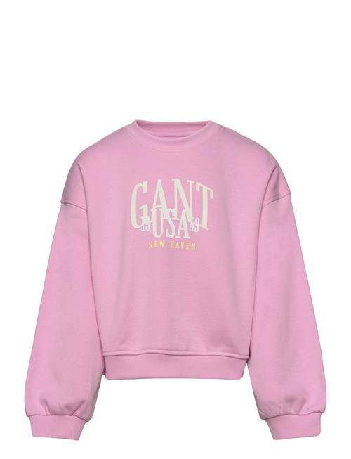 Se GANT Gant Usa Voluminous C-Neck GANT Pink ved Booztlet