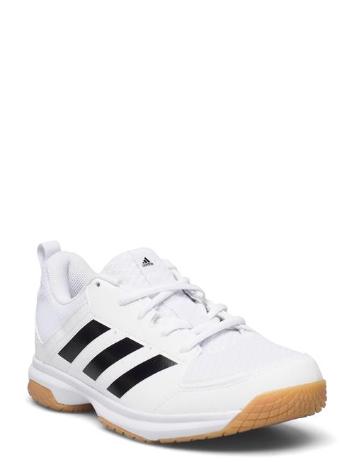 Se adidas Performance Ligra 7 Mens Indoor Shoes Adidas Performance White ved Booztlet