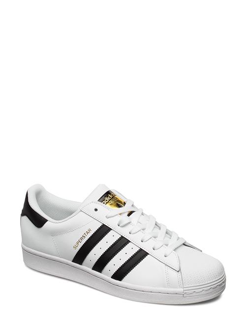 Superstar Adidas Originals White