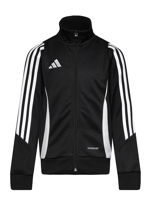 adidas Performance Tiro24 Trjkty Adidas Performance Black