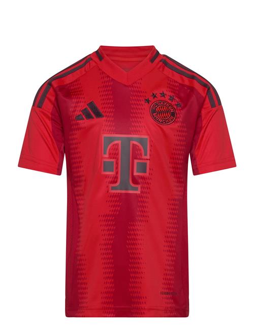 Se adidas Performance Bayern Munich H Jsy Y Adidas Performance Red ved Booztlet