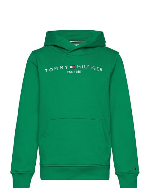 Tommy Hilfiger U Essential Hoodie Tommy Hilfiger Green