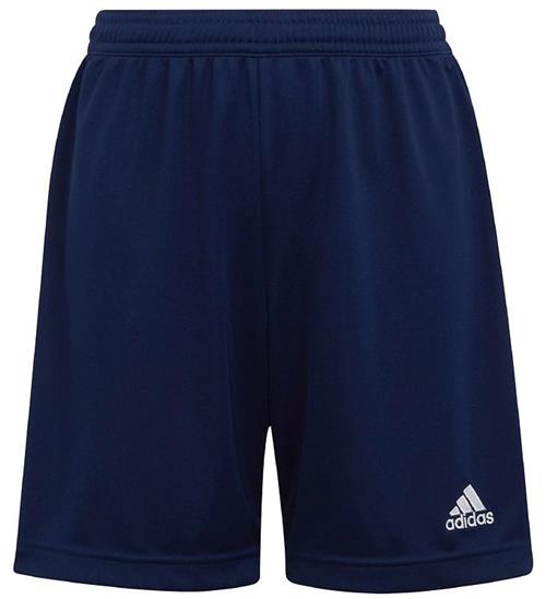 adidas Performance adidas Performance Shorts - ENTRADA 22 - BlÃ¥