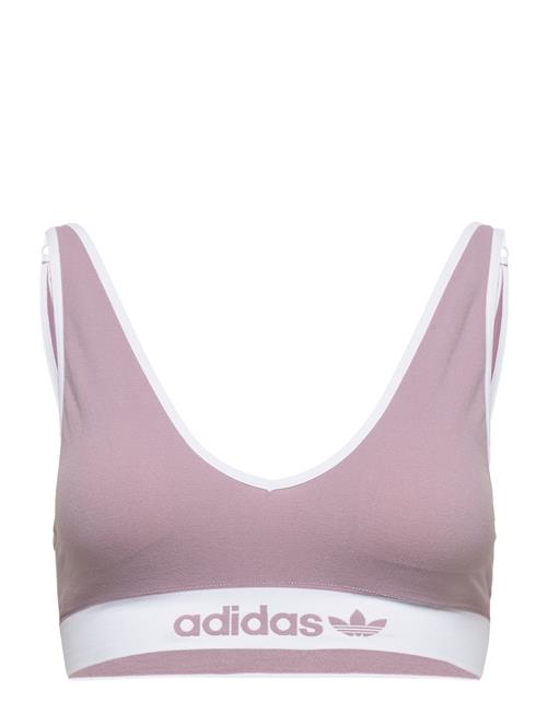 Se adidas Originals Underwear Bralette Adidas Originals Underwear Purple ved Booztlet