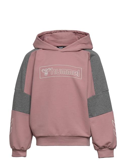 Se Hummel Hmlboxline Hoodie Hummel ved Booztlet