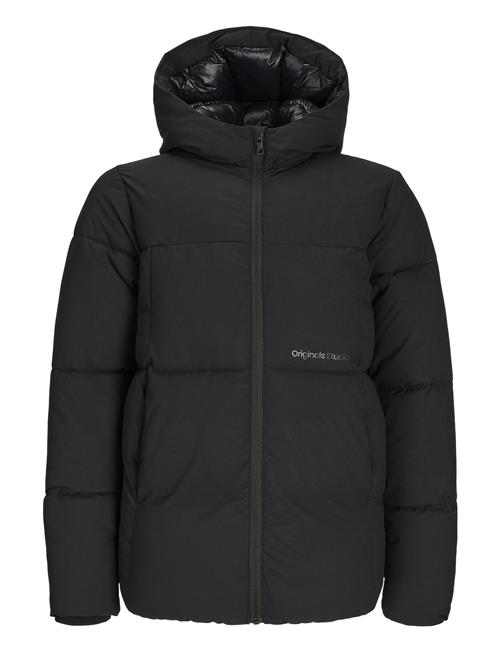 Se Jack & Jones Jorvesterbro Puffer Jacket Aw24 Sn Jnr Jack & J S Black ved Booztlet