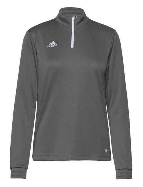 adidas Performance Ent22 Tr Top W Adidas Performance Grey