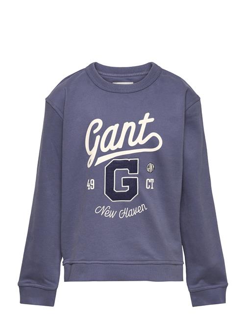 Se GANT Relaxed Graphic Sweat C-Neck GANT Blue ved Booztlet