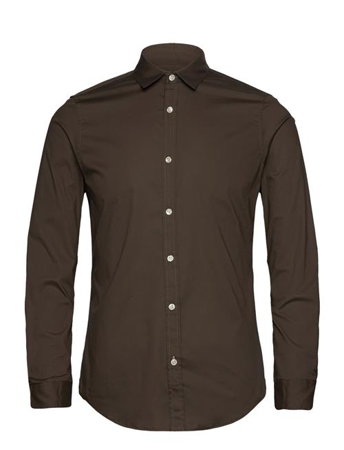 Essential Poplin Solid Scotch & Soda Brown