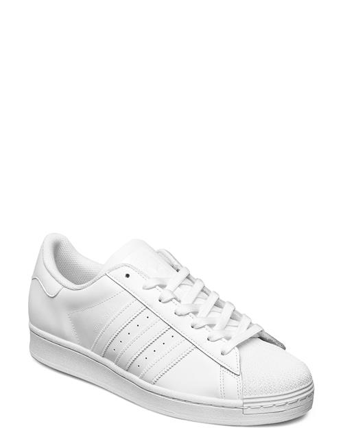 adidas Originals Superstar Adidas Originals White