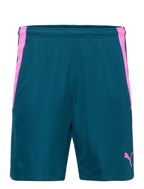 Teamliga Training Shorts 2 PUMA Blue