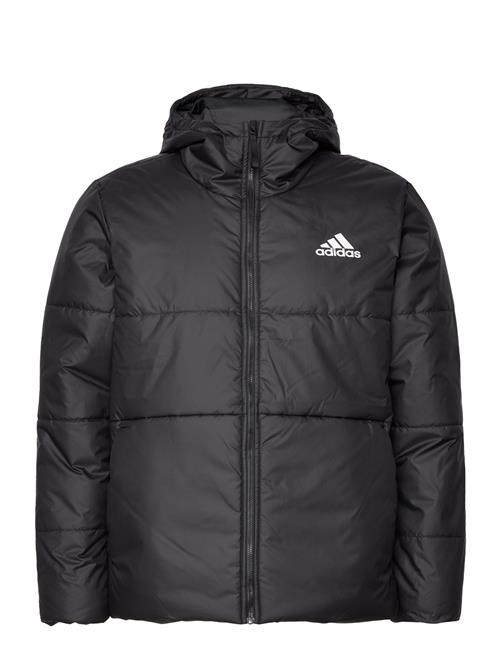 adidas Sportswear Bsc 3-Stripes Hooded Insulated Jacket Adidas Sportswear Black