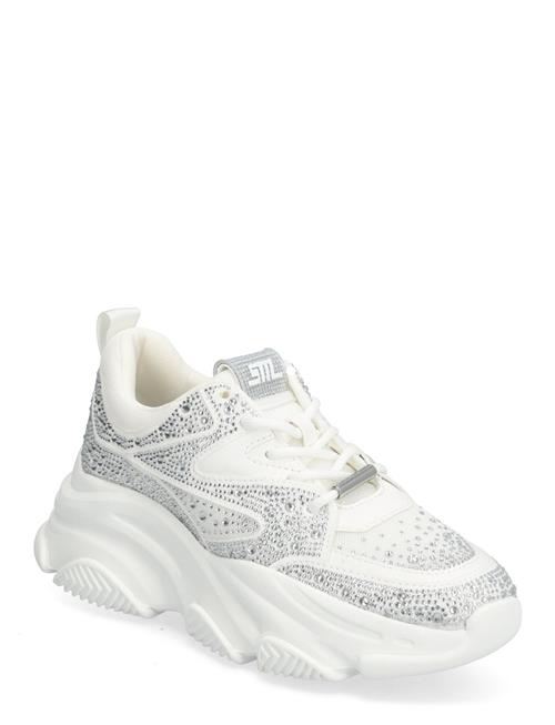 Steve Madden Privy Sneaker Steve Madden White