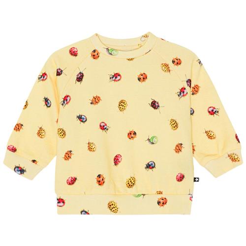 Molo GOTS Disc Sweatshirt Coccinella | Gul | 62 cm