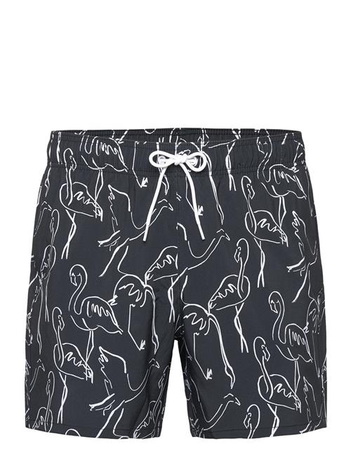 Hollister Hco. Guys Swim Hollister Black