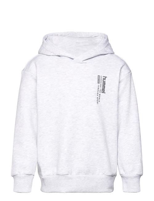 Hummel Hmldante Hoodie Hummel Grey