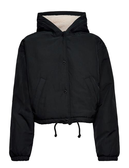 Hco. Girls Outerwear Hollister Black