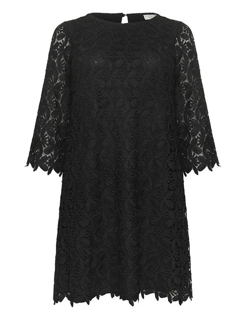 Kaffe Curve Kcemma Lace Dress Kaffe Curve Black