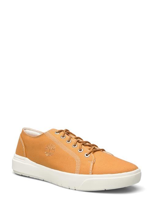 Se Timberland Low Lace Up Sneaker Timberland Yellow ved Booztlet