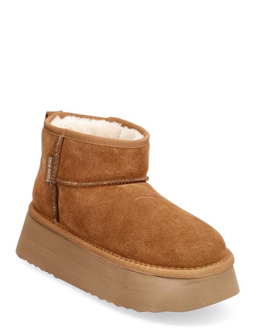 Campfire Bootie Steve Madden Brown