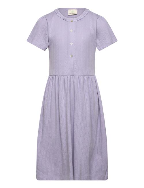 Dress Ss Pointelle En Fant Purple