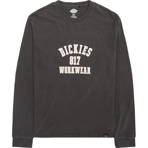 Dickies Dickies 817 Tee Ls T-shirts Grå