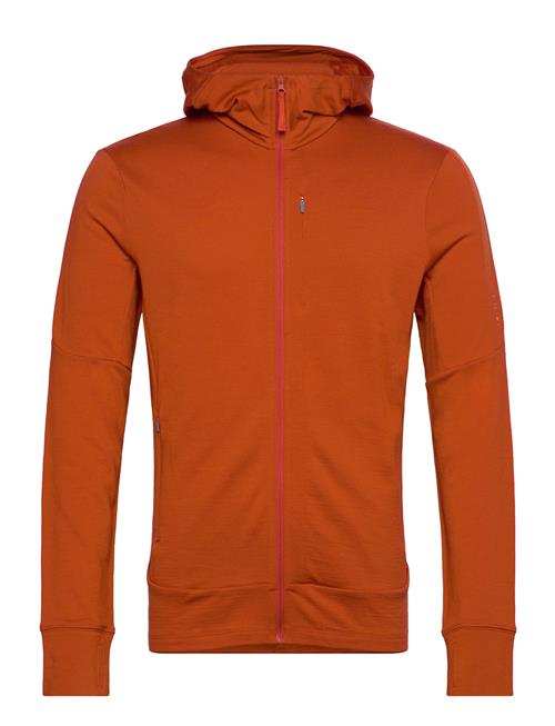 Se Icebreaker M Mer 260 Quantum Iv Ls Zip Hoodie Icebreaker Brown ved Booztlet