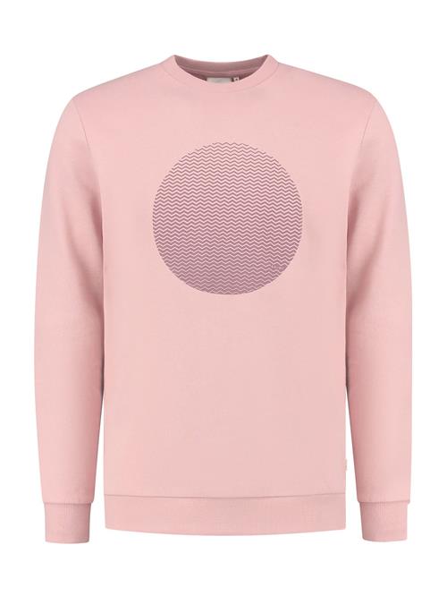 Shiwi Sweatshirt  lilla / lyserød