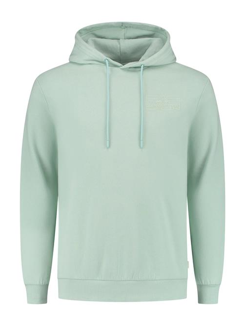 Se Shiwi Sweatshirt  mint ved About You