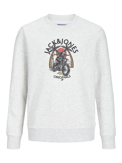 Jack & Jones Junior Sweatshirt  brun / rød / sort / hvid