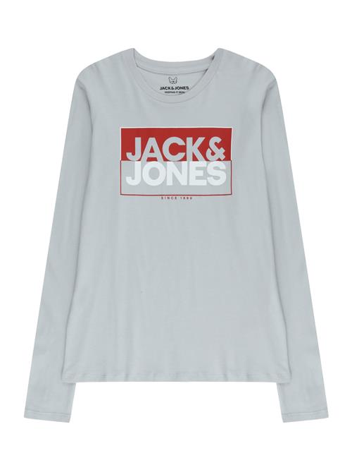 Jack & Jones Junior Shirts  grå / rød / hvid