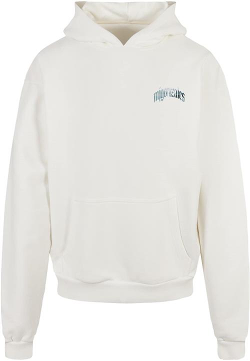 Se MJ Gonzales Sweatshirt 'Spirit'  blandingsfarvet / hvid ved About You