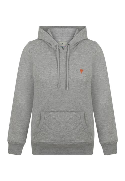 DENIM CULTURE Sweatshirt 'Zenaida'  grå-meleret / rustrød