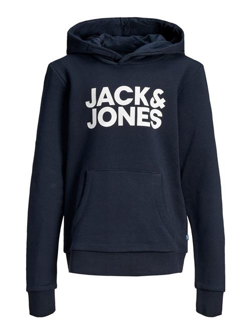 Jack & Jones Junior Sweatshirt  navy / hvid