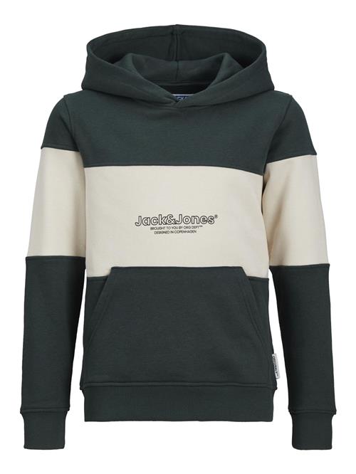 Jack & Jones Junior Sweatshirt 'Lakewood'  mørkegrøn / hvid