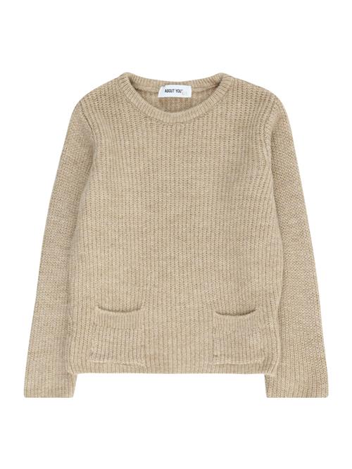 Se ABOUT YOU Pullover 'Ferdinand'  beige ved About You