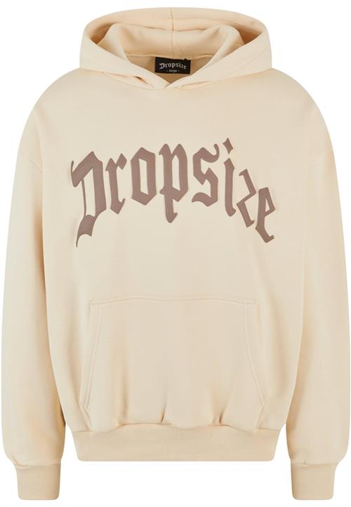 Dropsize Sweatshirt  beige / brun